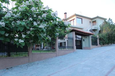 Pinehouse King Suite