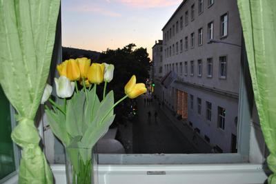 Optimist split/city center
