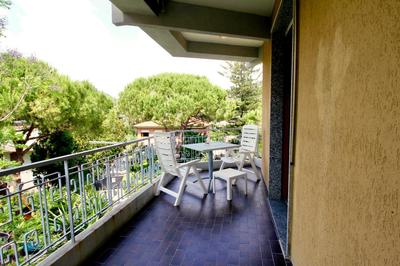 The Green Corner