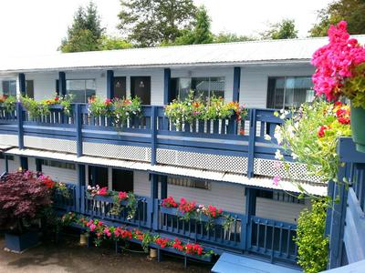 Sea Raven Motel, Billede 2