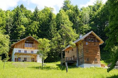 Waldharmonie - Chalet & Apartments