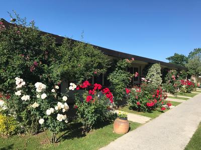 Riva's Club Hotel