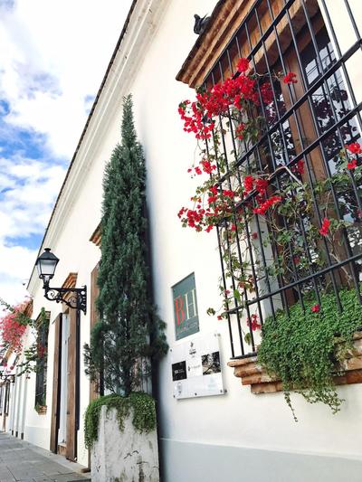 Billini Hotel, Historic Luxury