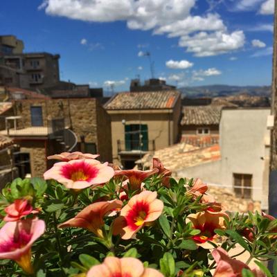 B&B A Casa dei Nonni