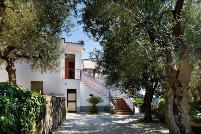 Il Nido del Gabbiano