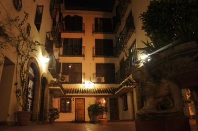 Cosy Apartment in center cathedral