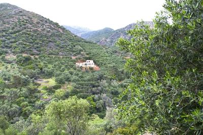 Villa Levande