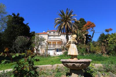 Apartment MiraMare on the beach
