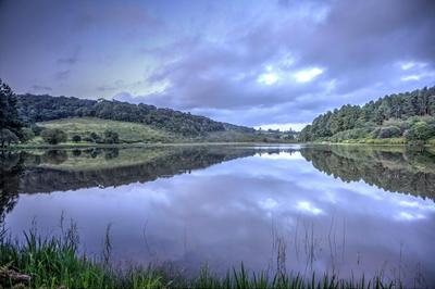 Pavetta Country House