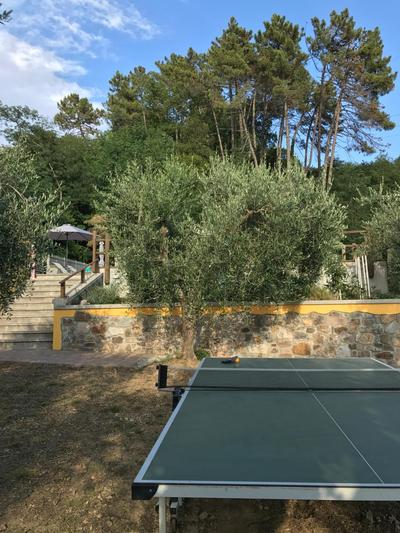 Agriturismo Il Pino