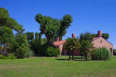 Cà Del Pioppo