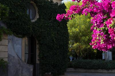 Tenuta del Gelso
