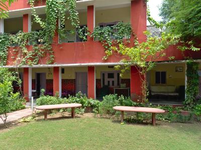Jungle Lodge