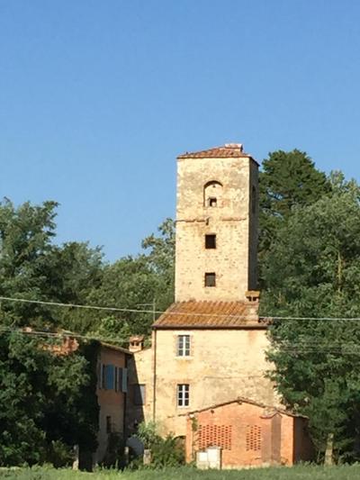 Capannacce Organic and Horse Farm