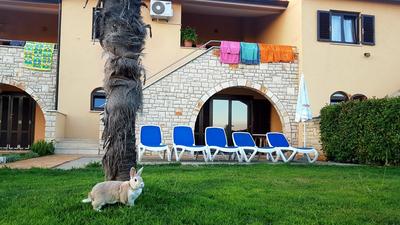 Holiday Home Marina