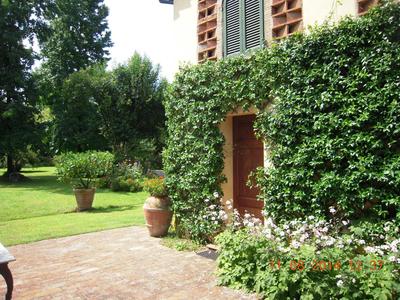 Al Cascinale