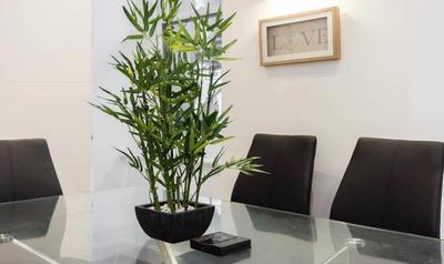 Fleet Street Apartment 1