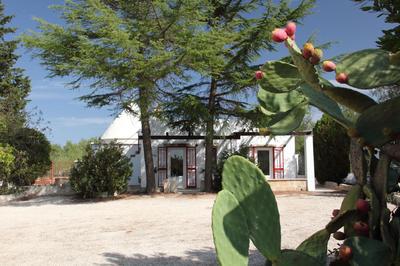 Trullo Riccardo