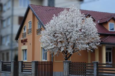 Vila Parc