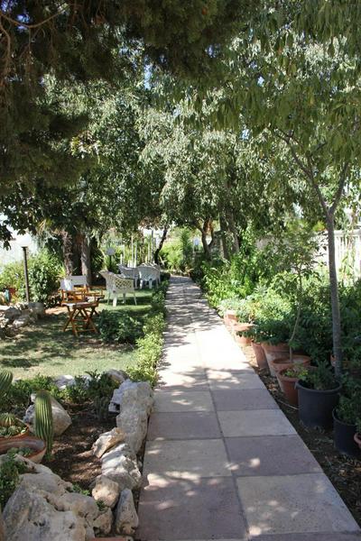 B&B Solacium