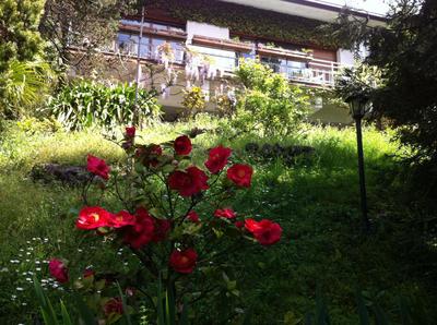 B&B Le Ortensie -Lago di Como