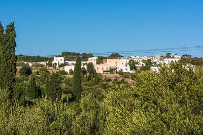 Celestia Traditional Houses