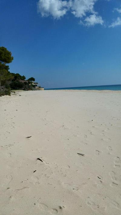 Mare a SantaMargherita