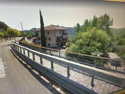 Il cipresso