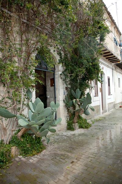 Modica Luxury Palace