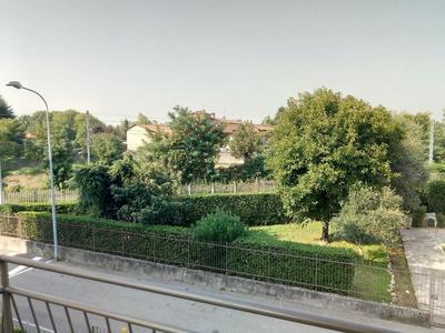 Coccinella