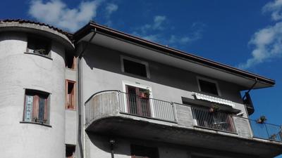 Il corbezzolo