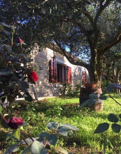 Casa Mala