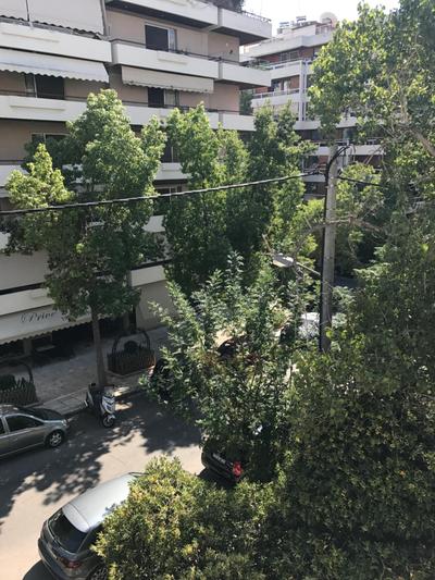 Apartment near the Beach