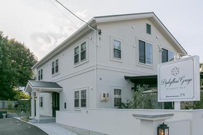 Guest House Diphylleia Grayi, Foto 2