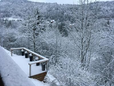 Chalet Chamois