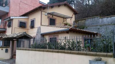 Il Pettirosso