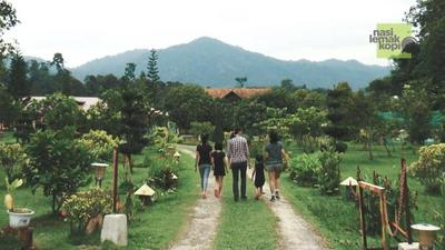 Happy Paradise
