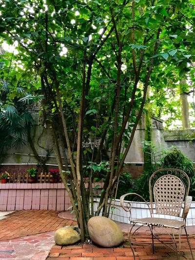 Peace Inn The Leshan Giant Buddha Branch