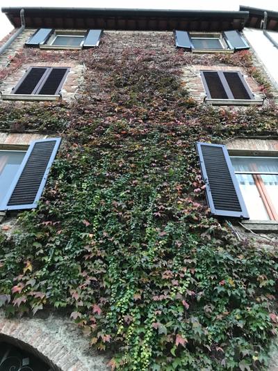 Tre Girasoli