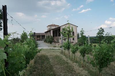 Agriturismo Ca' Preda