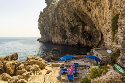 Sea Life - Taormina