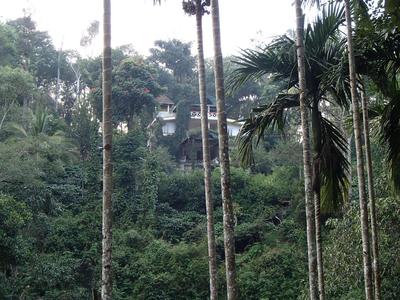 Coorg 4 C's Little Paradise