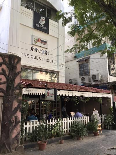 Wise Owl Comfotel