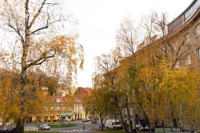 Rakuscha Apartment