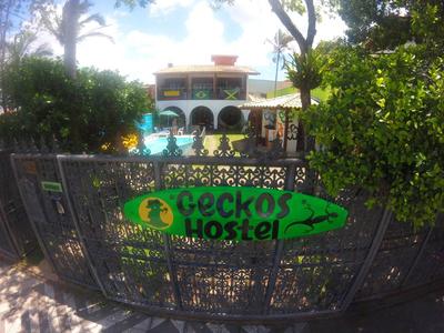 Geckos Hostel