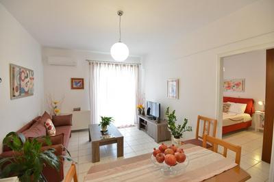 Diogenis Suite