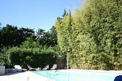 Le Mas des Dames Appartement