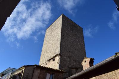 siena centro, civetta