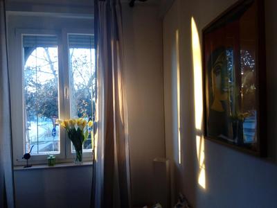 Apartment Optimist/City Break