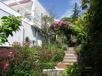 Sunny Garden